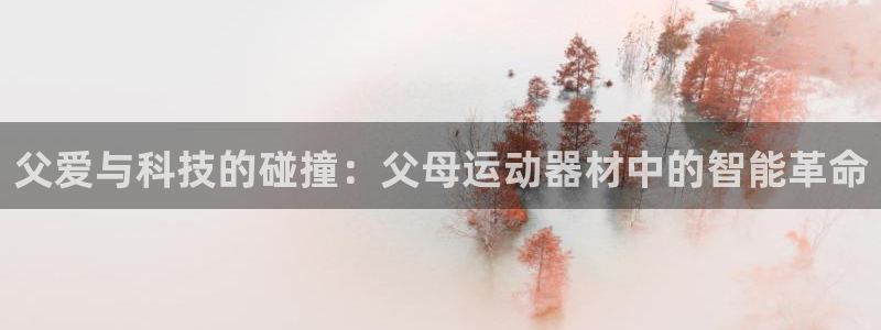 征途国际平台体育：父爱与科技的碰撞：父母运动器材中的