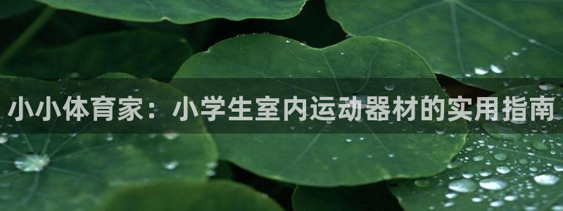 征途国际代理：小小体育家：小学生室内运动器材的实用指南