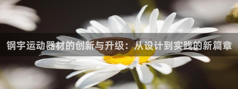 征途国际平台注册流程图：钢宇运动器材的创新与升级：从