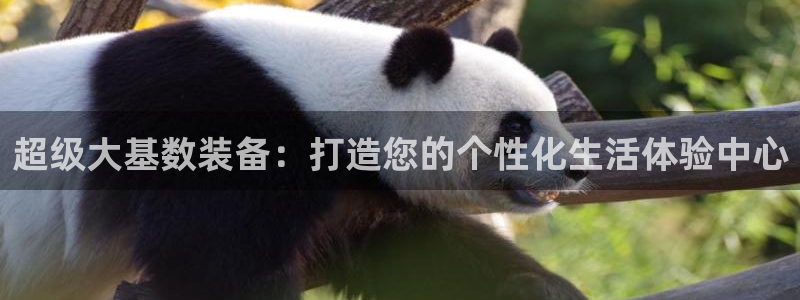 征途国际集团官网首页网址：超级大基数装备：打造您的个性化生活