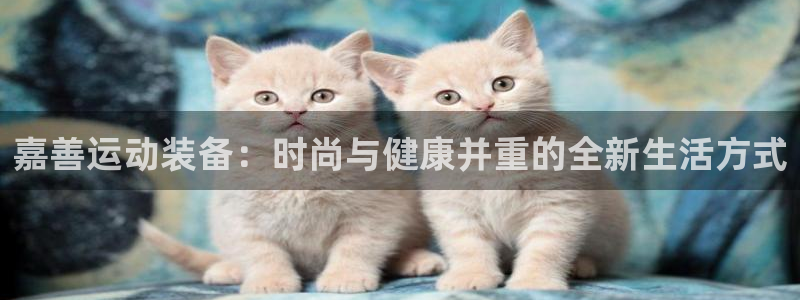 征途国际五金厂：嘉善运动装备：时尚与健康并重的全新生活方式