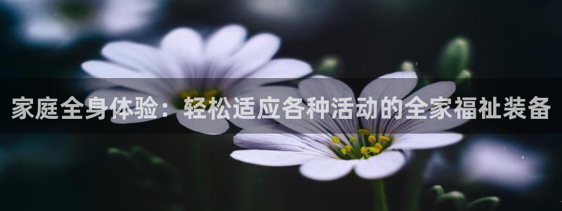 征途国际招商电话是多少啊：家庭全身体验：轻松适应各种