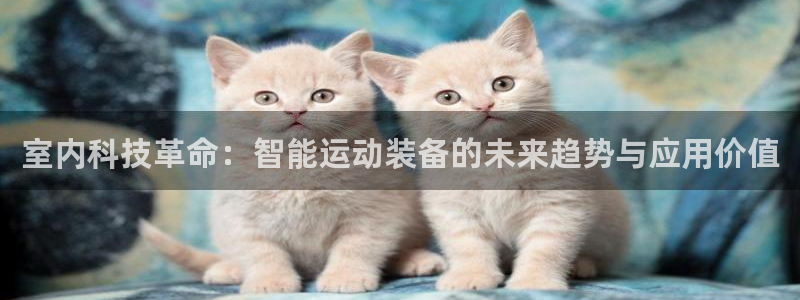 征途国际娱乐是那个系列的台子：室内科技革命：智能运动装备的未