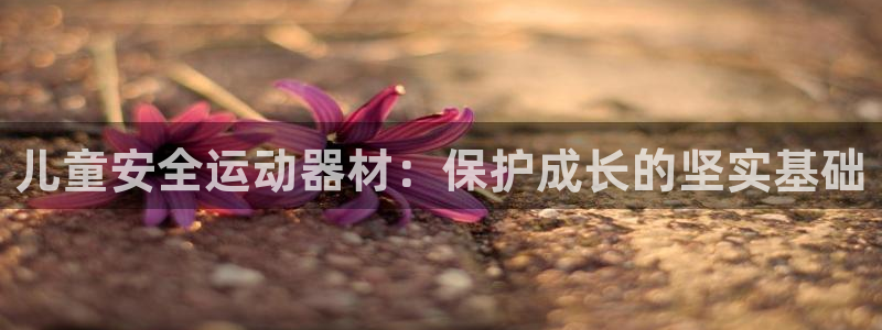 征途国际官方客服电话：儿童安全运动器材：保护成长的坚实基础