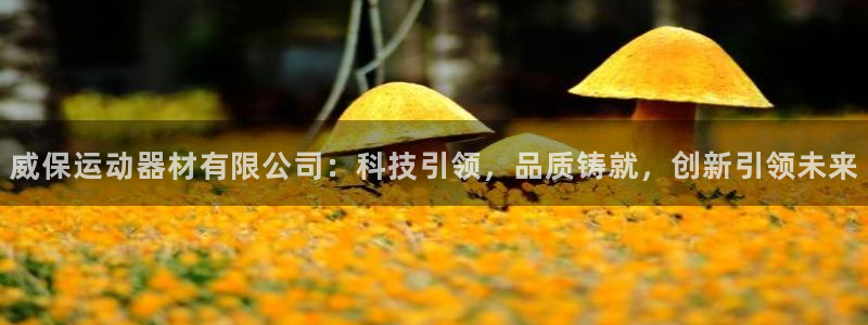 征途国际娱乐代理怎么样：威保运动器材有限公司：科技引