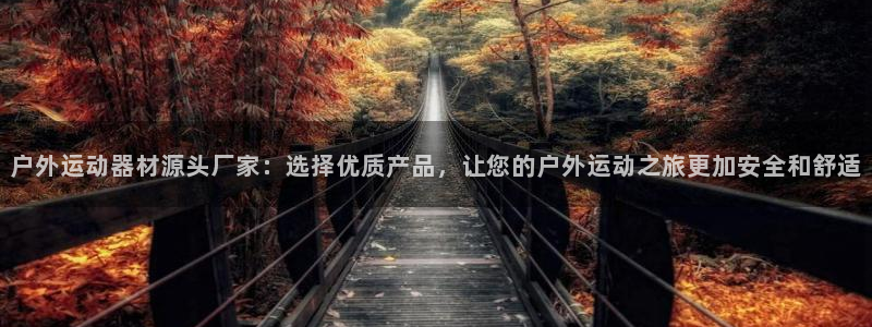 征途国际集团E.ON