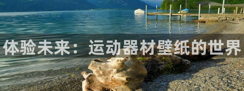 征途国际平台注册要钱吗是真的吗：体验未来：运动器材壁纸的世界