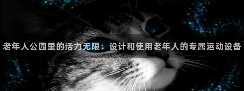 征途国际平台体育：老年人公园里的活力无限：设计和使用