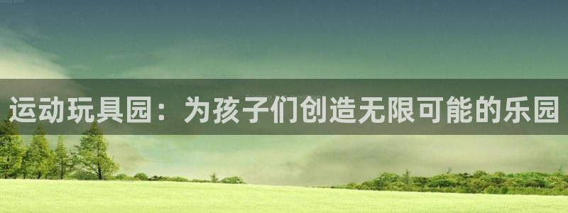 注册征途国际：运动玩具园：为孩子们创造无限可能的乐园