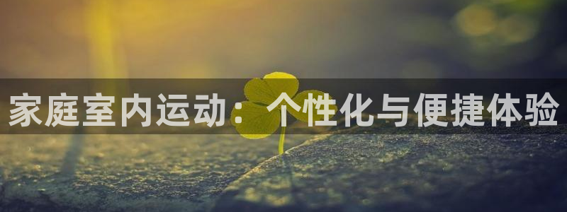 征途国际集团logo：家庭室内运动：个性化与便捷体验