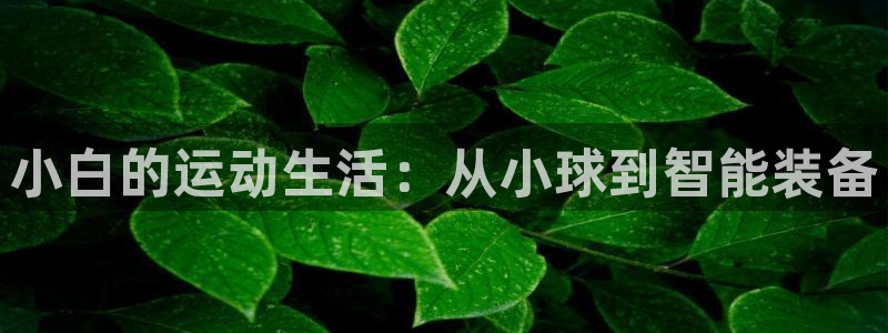 海南征途国际：小白的运动生活：从小球到智能装备