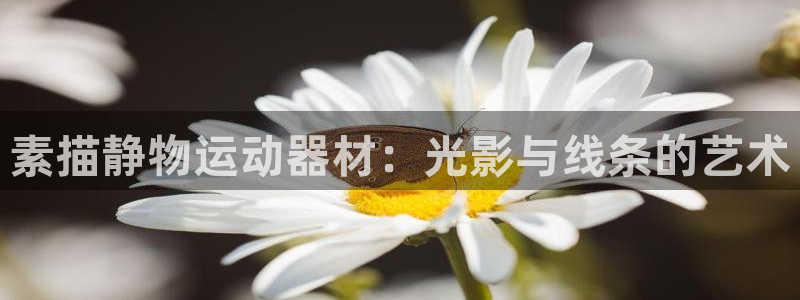 征途国际平台注册要钱吗是真的吗:素描静物运动器材:光影与线条