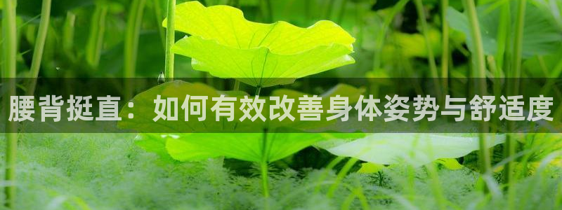 征途国际娱乐下载